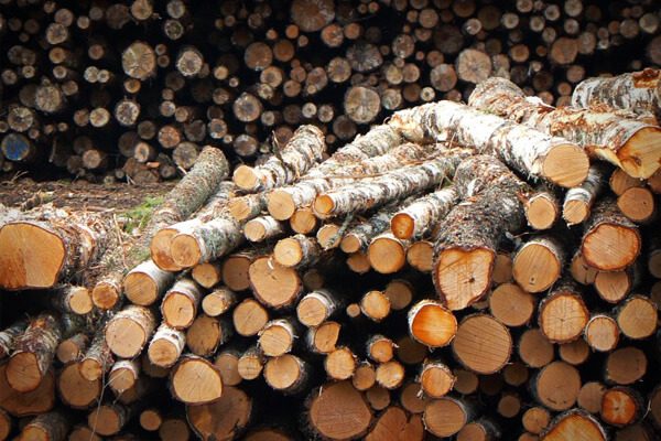 Biomass wood chip logs Leinster Pellets