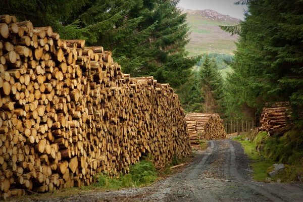 Irish Wood Fuels Leinster Pellets