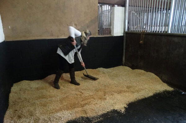 Horse Bedding | Leinster Pellets Wood Pellet